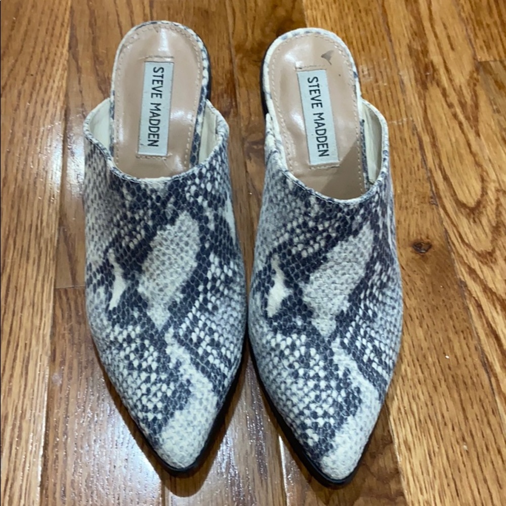 Steve Madden Slides Snake Print
